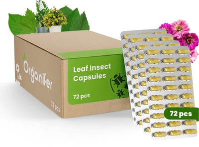 Leaf Insects Bladinsecten Capsules – 72 stuks - Voor Planten die Vatbaar zijn Voor Schadelijke Bladinsecten - Bladluis en Wolluis - Ondersteunt Herstel - Geschikt voor alle Kamerplanten, Potplanten en Buitenplanten - Organifer