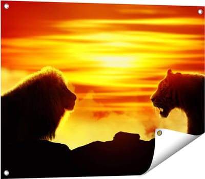 Gards Tuinposter Leeuw en Tijger - Silhouet - Zonsopkomst - 80x60 cm - Tuindoek - Tuindecoratie - Wanddecoratie buiten - Tuinschilderij