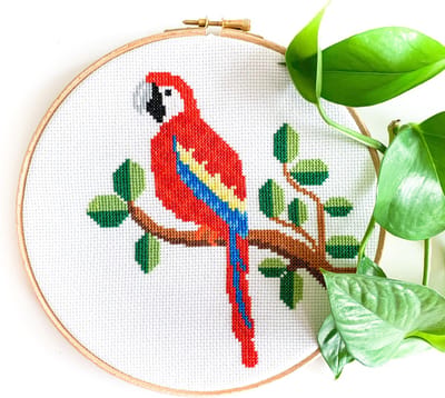 Papegaai borduurpakket. Modern geboorte borduurpakket. Botanisch borduurpakketten inclusief borduurring en DMC garen