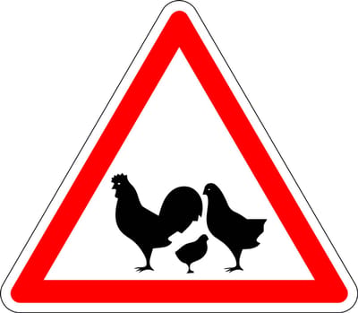 Pas op voor kippen bord - kunststof 100 mm