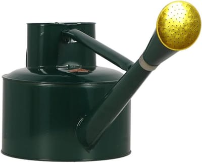 Gieter Metaal - Waterkan Tuin - Planten Water Geven - Stabiele Constructie - 5 Liter - Groen