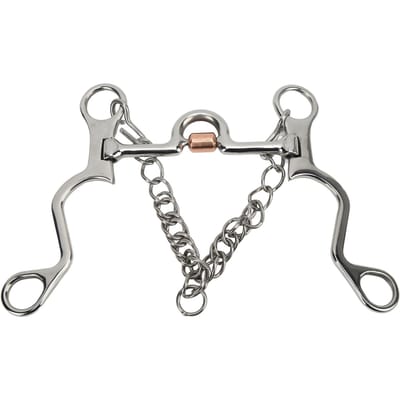 Pelham Bit Sterke Fijne Afwerking Roestvrij Staal Paardenbit voor Paardrijden Ruitersport Prestaties 130MM 130mm/5.1in