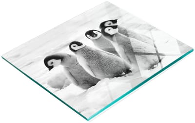 Decoratieve glazen keukensnijplank met pinguïns en kuikens, 60x52 cm