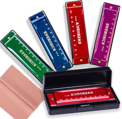 Mondharmonica Set - C Toets Harmonica - Muziek Leren Spelen - Niet-giftig Materiaal - 10 Gaten - Groen Rood Blauw Paars