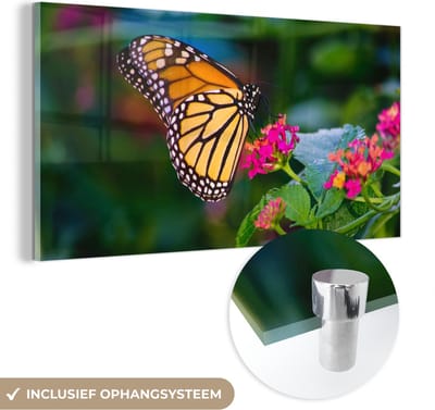 MuchoWow® Glasschilderij 40x20 cm - Schilderij acrylglas - Vlinders - Bloem - Natuur - Foto op glas - Schilderijen