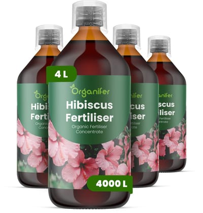 Vloeibare Meststof Voor Hibiscus 4X1 L Voor 4000 L - Npk 2-1-8 - Krachtige Sterke Bloei - Kleurintensiteit - Bloeiduur - Sterke Wortels - Nutriëntenopname - Overvloedige Bloei Geschikt Voor Tropische Pot- En Tuinhibiscus - Organifer