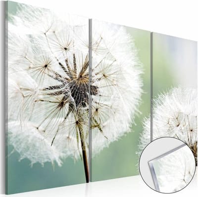 Afbeelding op acrylglas - Fluffy Paardebloem, Groen/Wit, 3luik