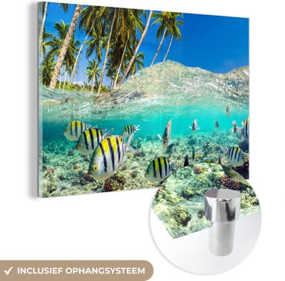 MuchoWow® Glasschilderij 120x80 cm - Schilderij acrylglas - Zee - Vissen - Koraal - Foto op glas - Muurdecoratie woonkamer - Wanddecoratie slaapkamer - Schilderijen