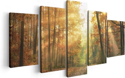Artaza Canvas Schilderij Vijfluik Herfstbos Met Zonneschijn - 100x50 - Foto Op Canvas - Canvas Print