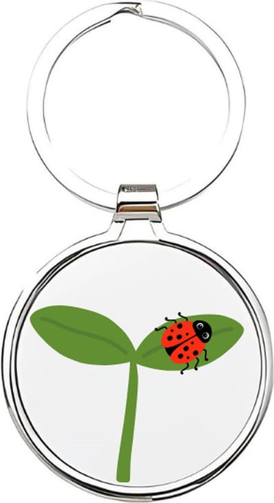 Akyol - Lieveheersbeestje Sleutelhanger - lieveheersbeestje - dierenliefhebbers - insecten - kever - keverbeestje - dieren - geluksbrenger - coccinellid - cadeau voor dierenliefhebbers - insect - kapoentje - 4 x 7,5 CM