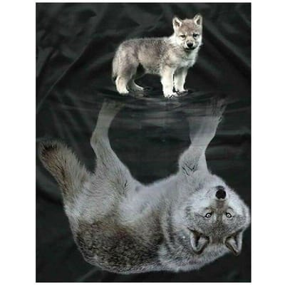 5D Doe-het-zelf Diamantschilderij Hond Wolf Reflectie Afbeelding van Strass Steentjes Diamant Borduurwerk Kruissteek 20X30CM