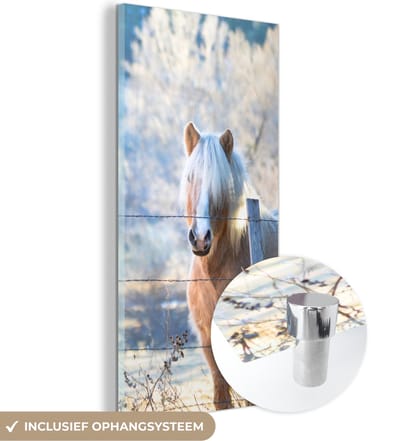 MuchoWow® Glasschilderij 20x40 cm - Schilderij acrylglas - Paard - Winter - Sneeuw - Foto op glas - Schilderijen
