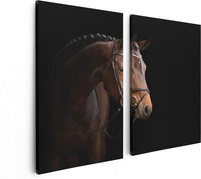 Artaza Canvas Schilderij Tweeluik Bruin Paard Op Een Zwart Achtergrond - 80x60 - Foto Op Canvas - Canvas Print