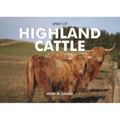 Spirit Of Highland Cattle - Spirit Of Britain - Heidi M. Sands