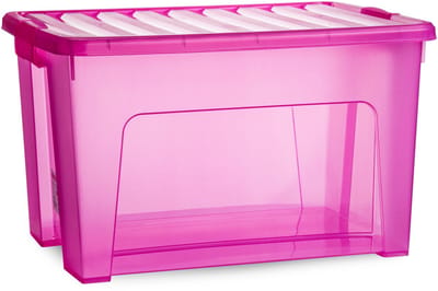 Plasticforte Opslagbox - met deksel - transparant roze - 47 liter - 54 x 38 x 32 cm - kunststof - opbergdoos - opbergen