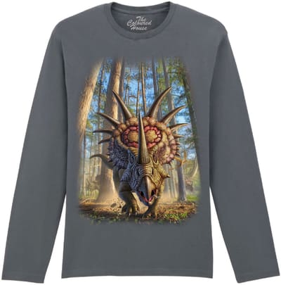 Dino Styracosaur The Coloured House Longsleeve T-shirt XXL