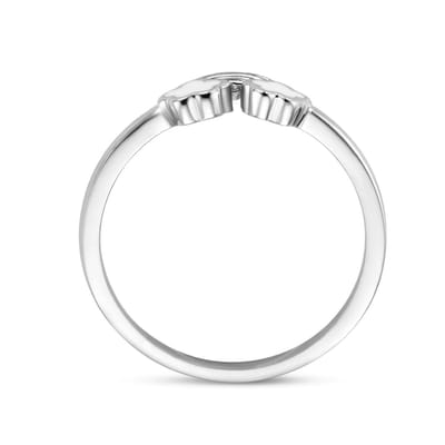 Gerhodineerd Zilver Ring Regenboog 1336209