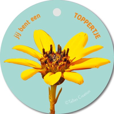 Tallies Cards - kadokaartjes  - bloemenkaartjes - Toppertje - Flowerpower - set van 5 kaarten - geslaagd - diploma - zwemdiploma - rijbewijs - 100% Duurzaam