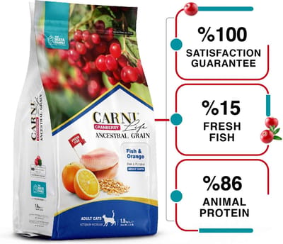 Carni Life Cranberry ANCESTRAL GRAIN FISH & ORANGE ADULT