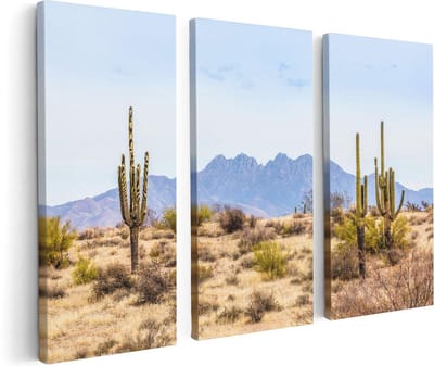 Artaza Canvas Schilderij Drieluik Cactussen in de Woestijn - 120x80 - Foto Op Canvas - Canvas Print