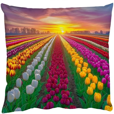 Sierkussens - Kussentjes Woonkamer - 50x50 cm - Tulpenveld - Zonsondergang - Kleurrijk