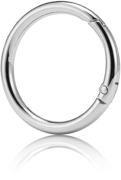 Dailygoods- O-ring 15 Stuks - Ronde Karabijnhaak - Veersluiting - Antiroest - Lichtgewicht - Hoogwaardige Zinklegering - Sleutelhangerclip