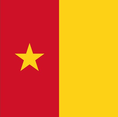 Vlag Kameroen 50x75cm