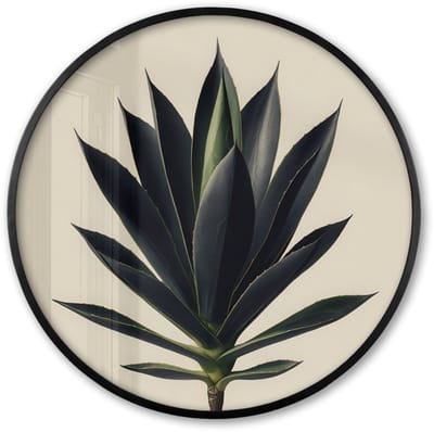 Poster in lijst Rond - Fotolijst 60x60 cm - Posters - Agaveplant - Symmetrisch - Groen - Ronde posterlijst zwart - Decoratie - Wanddecoratie woonkamer - Muurdecoratie slaapkamer