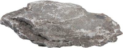 Sera Rock Gray Mountain jun-42943