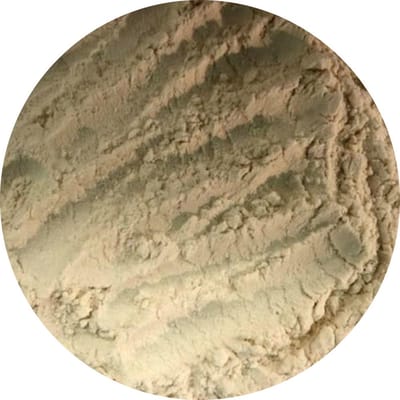 Van Beekum Specerijen - Guargom - 20 KG - Zak (bulk verpakking)