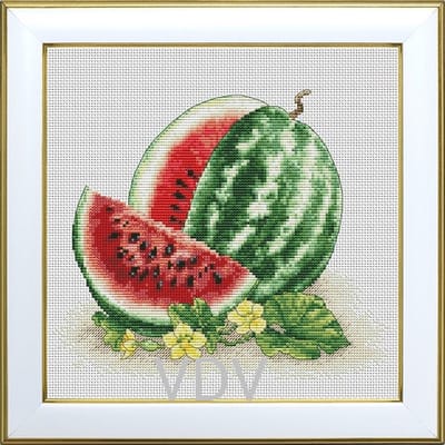 Borduurpakket VDV (gedeeltelijk kraaltjes) - Watermelon - Watermeloen - DMC garens