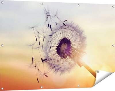 Gards Tuinposter Paardenbloem tijdens Zonsondergang - 120x80 cm - Tuindoek - Tuindecoratie - Wanddecoratie buiten - Tuinschilderij