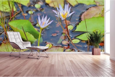 Fotobehang Mauritius DD100355 A.S. Création XXL World Trip | 3D Fotobehang op maat
