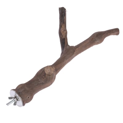 Maat L: ca. Ø3x30cm Y-vogel zitstok druif TIAKI kooi accessoires