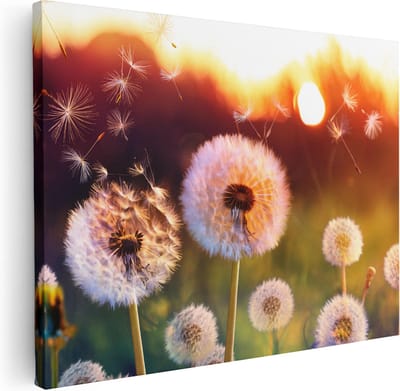 Artaza Canvas Schilderij Paardenbloemen Zaadjes - 40x30 cm - Klein - Muurdecoratie Woonkamer - Wanddecoratie Zomer - Kamer Accessoires