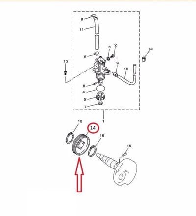 Pignon de pompe a huile TNT pour Scooter Aprilia 50 SR 1995 à 1999 3VL-E3178-00 Neuf
