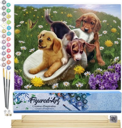 Figured'Art Schilderen op Nummer Volwassenen canvas Spelen met vrienden - Handwerk acrylverf Kit DIY Compleet - 40x50cm met DIY houten lijst