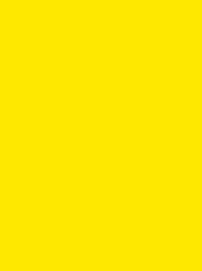 Vlag Sint-Jans-Molenbeek 200x300cm