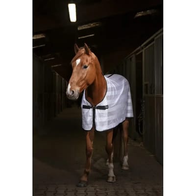 Paardenhemd Riding World Mesh 0g