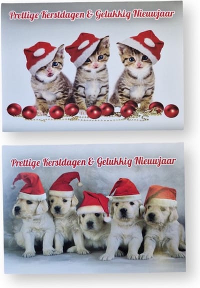10 Luxe Kerst- en Nieuwjaarskaarten 2 x 5 dubbele kaarten met enveloppen - Kerst 06 Poezen - Gratis verzonden