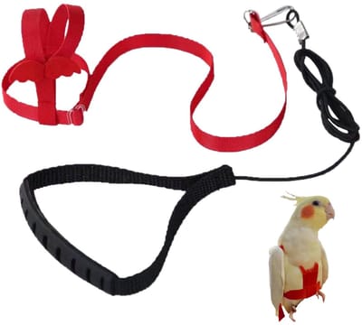Dailygoods- Tuigje Papegaai - Verstelbaar - Antislip Handgreep - Elastische Lijn - Bijtbestendig - Lichtgewicht Nylon - Vogelharnas
