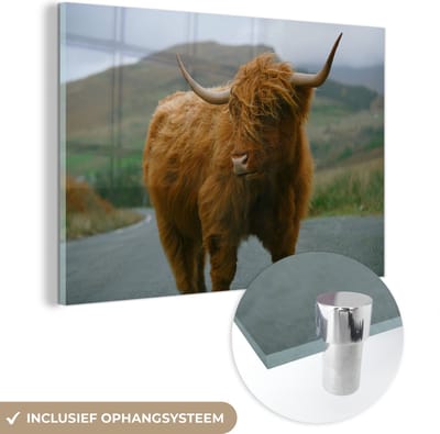 MuchoWow® Glasschilderij 150x100 cm - Schilderij acrylglas - Schotse Hooglander - Berg - Weg - Foto op glas - Schilderijen