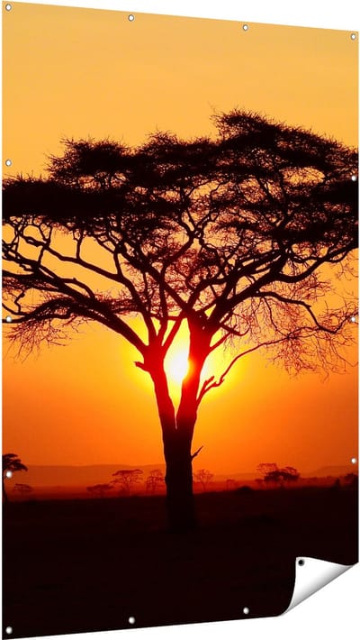 Gards Tuinposter Zonsondergang Achter een Savanne Boom - 120x180 cm - Tuindoek - Tuindecoratie - Wanddecoratie buiten - Tuinschilderij