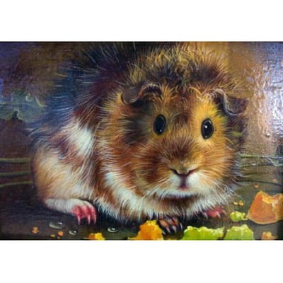 Schattige cavia schilderij diamant borduurwerk verkoop volledige vierkante ronde diamant schilderij 40X50CM