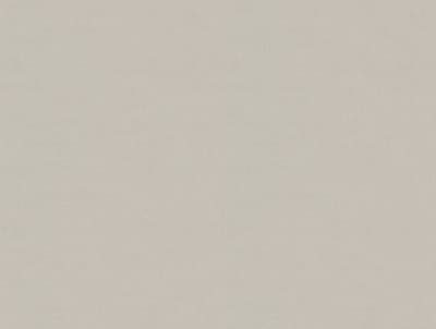 Zambaiti Vinylbehang Z54512 - Fuksas - Uni Zilver - 70cm x 10.05m