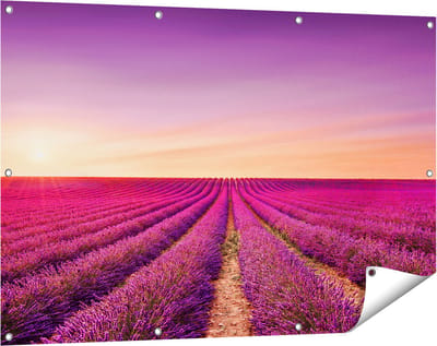 Gards Tuinposter Paarse Lavendel Bloemenveld - 120x80 cm - Tuindoek - Tuindecoratie - Wanddecoratie buiten - Tuinschilderij