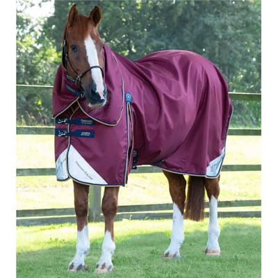 Outdoor paardendeken met halsbedekking Premier Equine Akoni Stratus 0g
