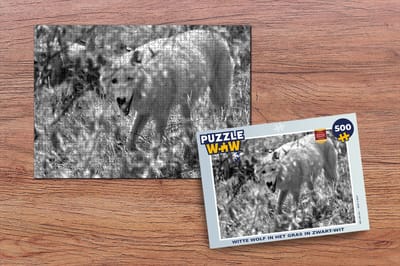 Puzzel Witte wolf in het gras in zwart-wit - Legpuzzel - Puzzel 500 stukjes