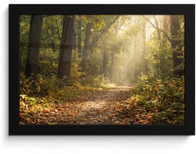 Poster in lijst - Fotolijst 30x20 cm - Posters - Zonlicht - Bospad - Bomen - Posterlijst zwart - Decoratie - Wanddecoratie woonkamer - Muurdecoratie slaapkamer