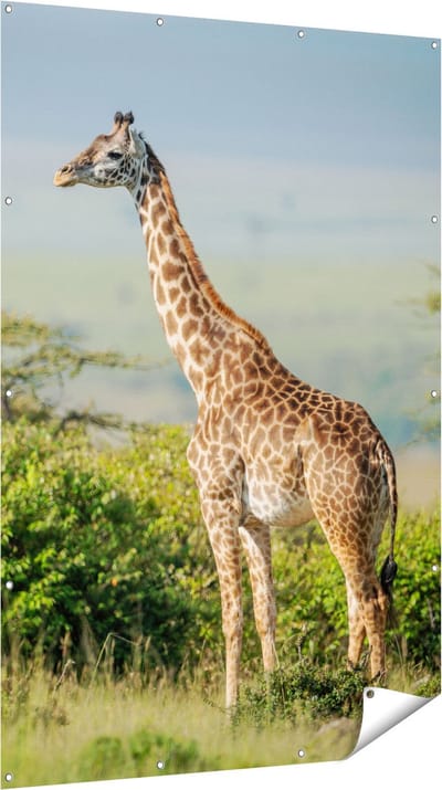 Gards Tuinposter Giraffe in het Wild tussen de Struiken - 120x180 cm - Tuindoek - Tuindecoratie - Wanddecoratie buiten - Tuinschilderij